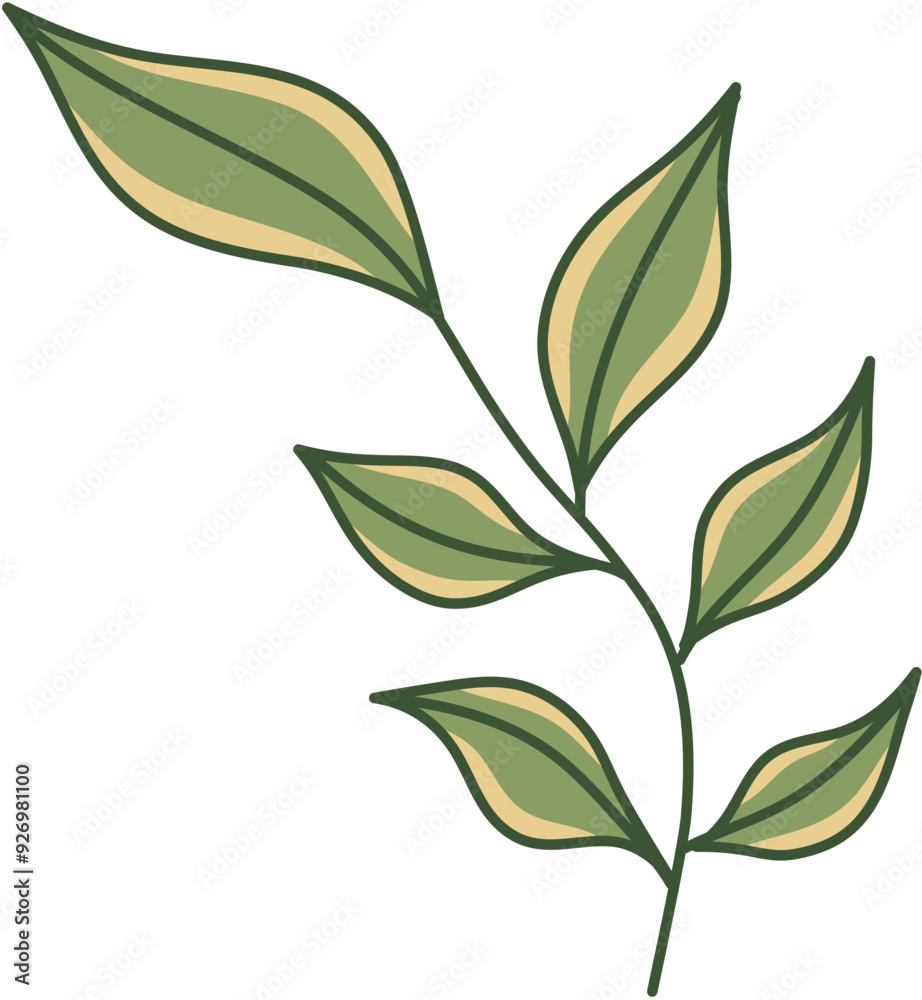 Hand-Drawn Leaf Illustration Hand-Drawn Leaf Illustration