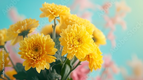 Yellow chrysanthemum bouquet on colorful background