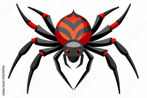 Black and Red Spider with Eight Legs