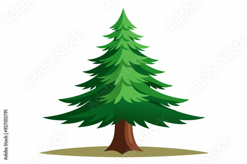 A Single Green Pine Tree with a Brown Trunk and Ground