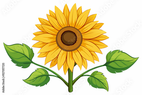 A Single Sunflower with Green Leaves on a White Background