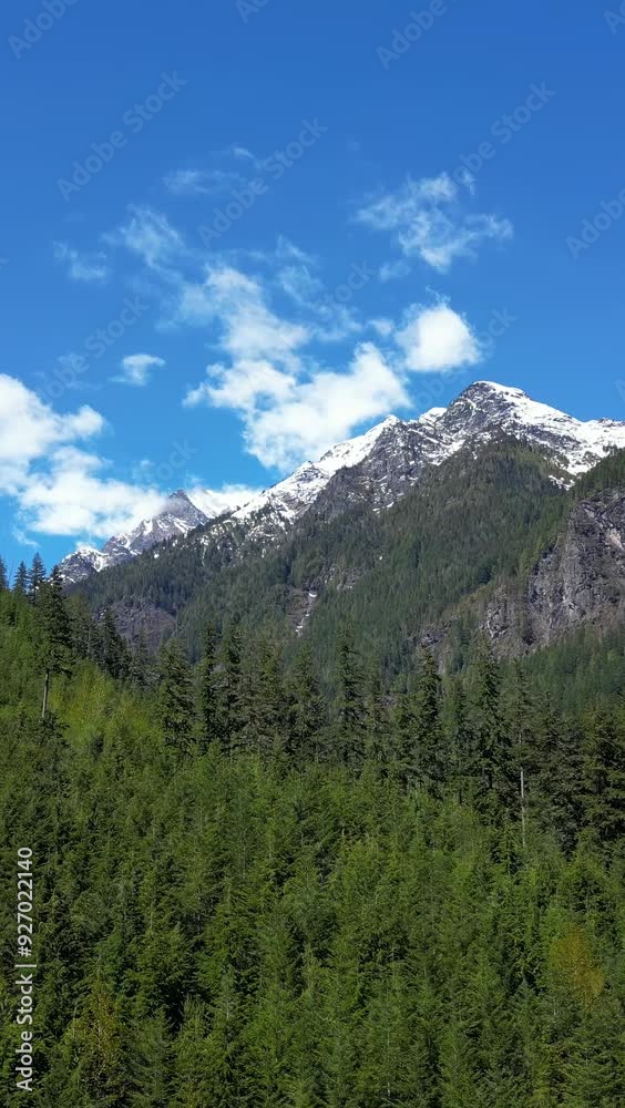 Canadian Rocky Mountain Nature, Trees and blue sky. British Columbia, Canada. Canadian Rocky Mountain Nature, Trees and blue sky. British Columbia, Canada.