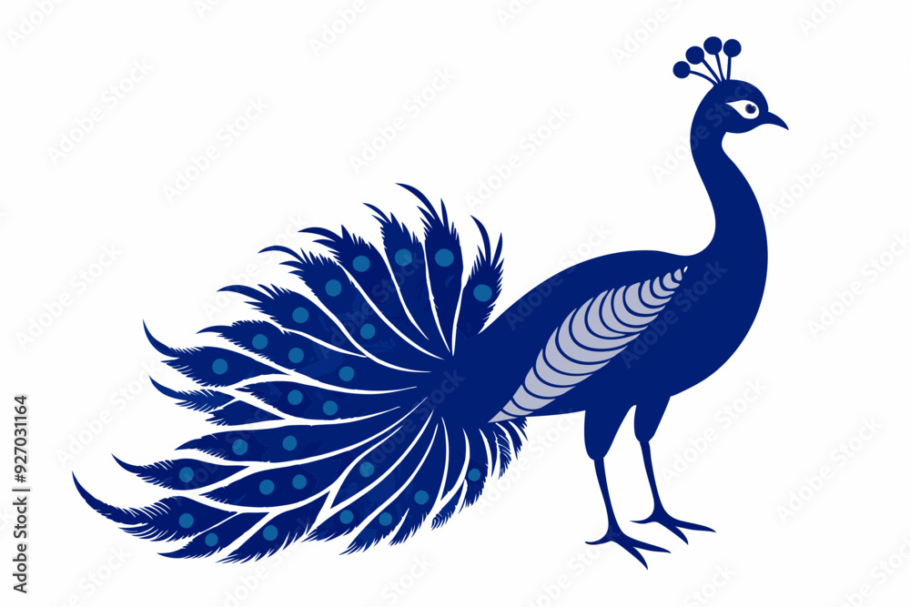 Peacock vector illustration Peacock vector illustration