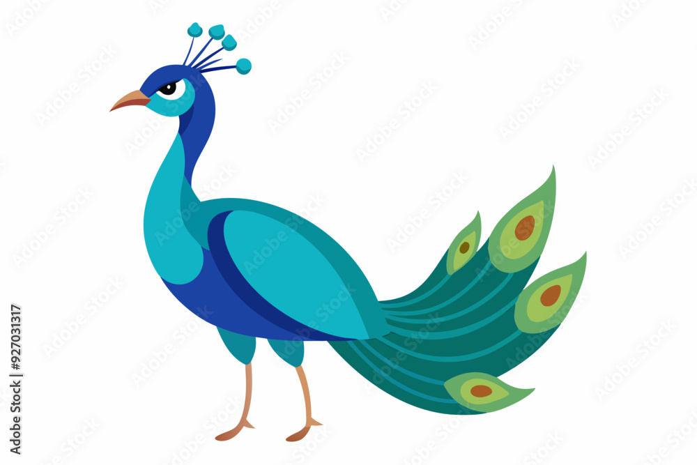 Fototapeta premium Peacock vector illustration