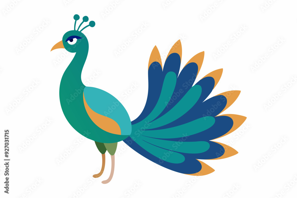 Peacock vector illustration