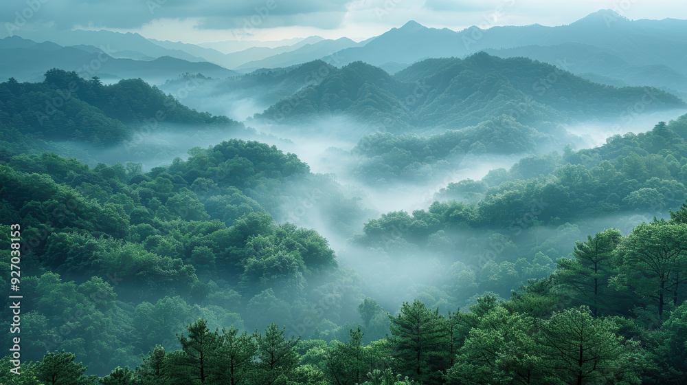 A panoramic view of a mountain range shrouded in mist. The fog flows through the valleys, creating a ethereal and peaceful atmosphere. A panoramic view of a mountain range shrouded in mist. The fog flows through the valleys, creating a ethereal and peaceful atmosphere.