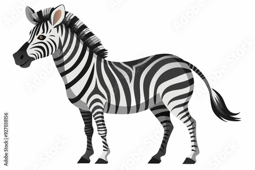 A Black and White Zebra Standing on a White Background