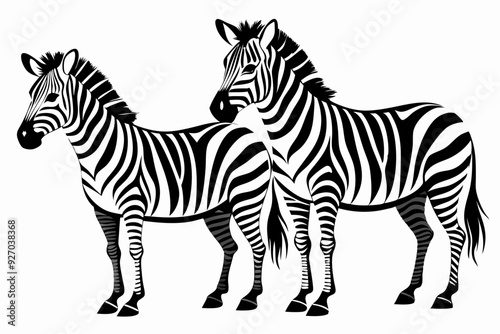 Two Zebras with Black and White Stripes Standing Together