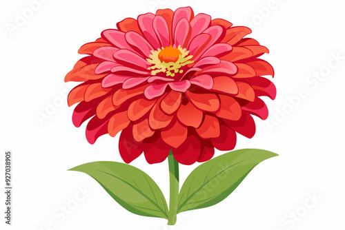 Single Red Zinnia Flower with Green Leaves