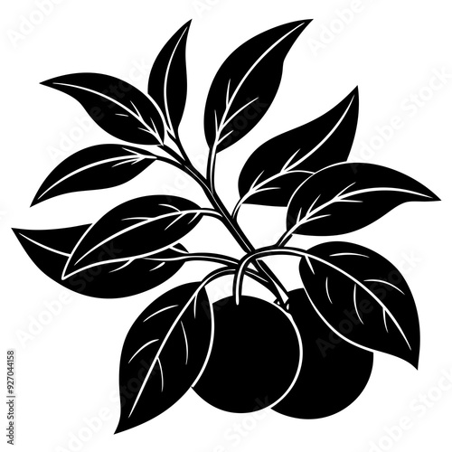 Tangerine plants with leaves silhouette 