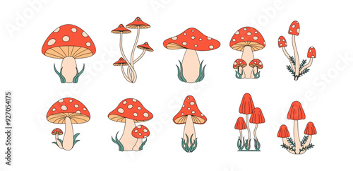 groovy mushroom Set