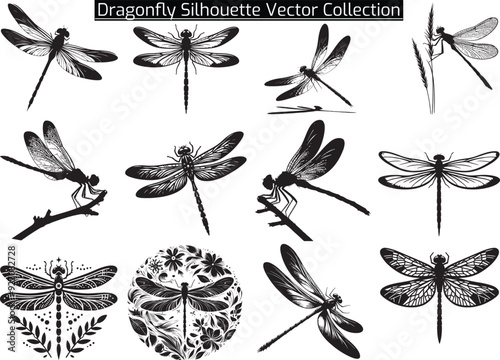Set of Elegant Dragonfly Silhouette Vector Art