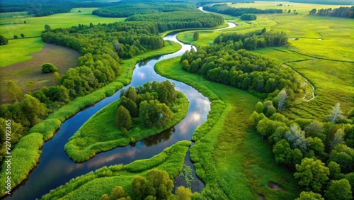 Aerial view of a tranquil small stream winding through a lush green wetland, aerial, view, small stream