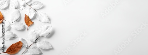  A collection of white and brown leaves against a pristine white backdrop Space allotted for text or insertion of an image on the left side photo