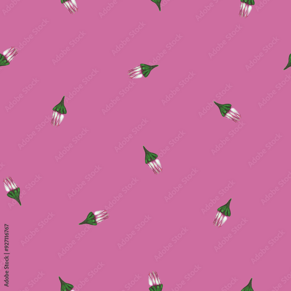 Chrysanthemum Flower Seamless Pattern. Hand Drawn Floral Digital Paper on Purple Background.