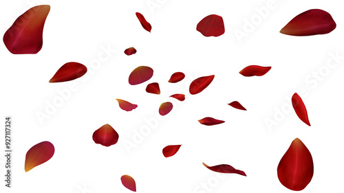 Red rose petals flow on transparent background, 3d render