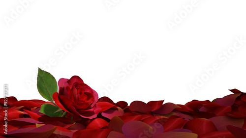Red rose on pile of petals ground on transparent background, 3d render
