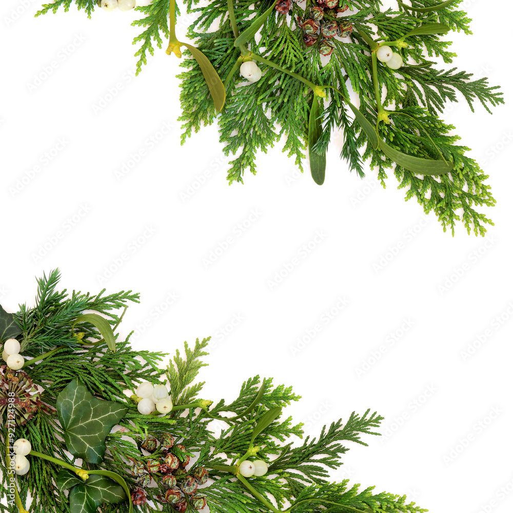 custom made wallpaper toronto digitalWinter greenery mistletoe, ivy, cedar and juniper fir, pinecone background on white. Christmas Yule decorative flora border. Natural nature design.  