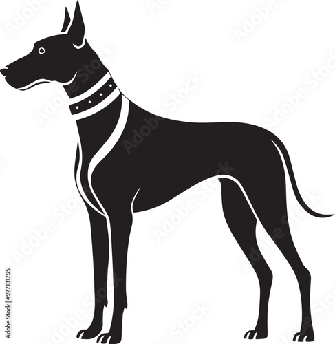 great Dane Dog full body with leather belt illustration silhouette black and white transparent background