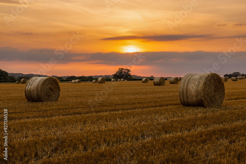 hay bales in the field