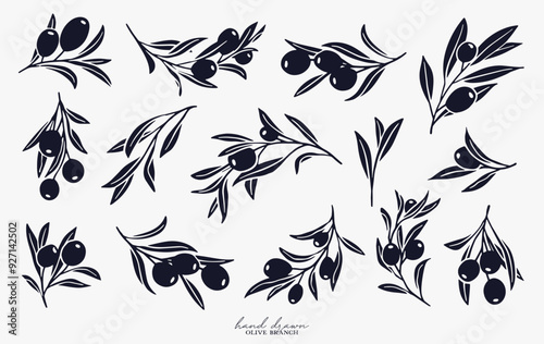 Olive Branch for olive oil logo or olive icon, hand drawn olive branch botanical herbs elements in vector format, floral olive frame and border and virgin oil