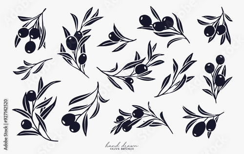 Olive Branch for olive oil logo or olive icon, hand drawn olive branch botanical herbs elements in vector format, floral olive frame and border and virgin oil