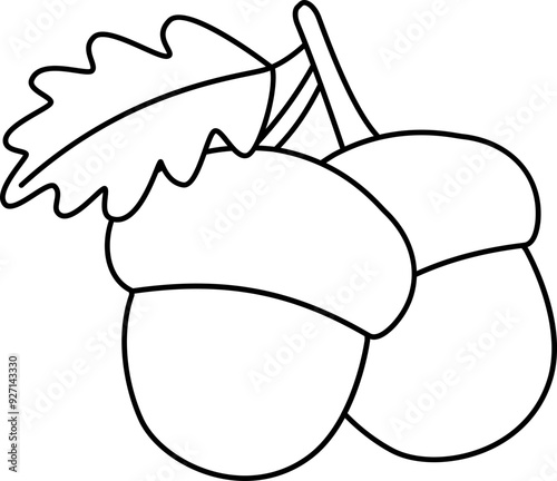 autumn acorn outline vector