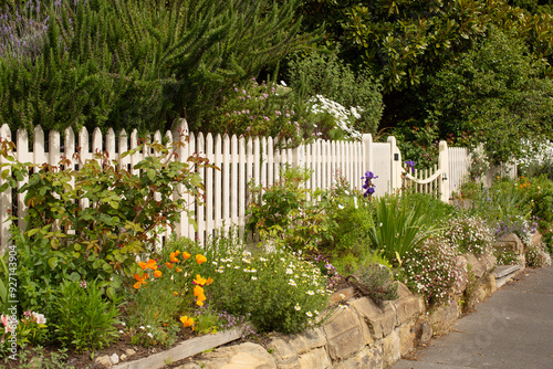 Flowering garden outside of a white picket fence photo