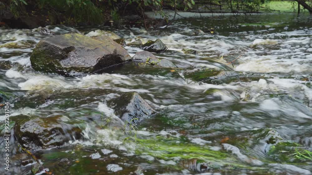 The rapid flow of a mountain river flowing in a wooded area. A stormy mountain stream. Forest river. The flow of fresh water. The rapid flow of a mountain river flowing in a wooded area. A stormy mountain stream. Forest river. The flow of fresh water.