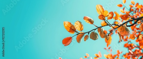 Close-up of an orange leaf branch against a vibrant blue sky.