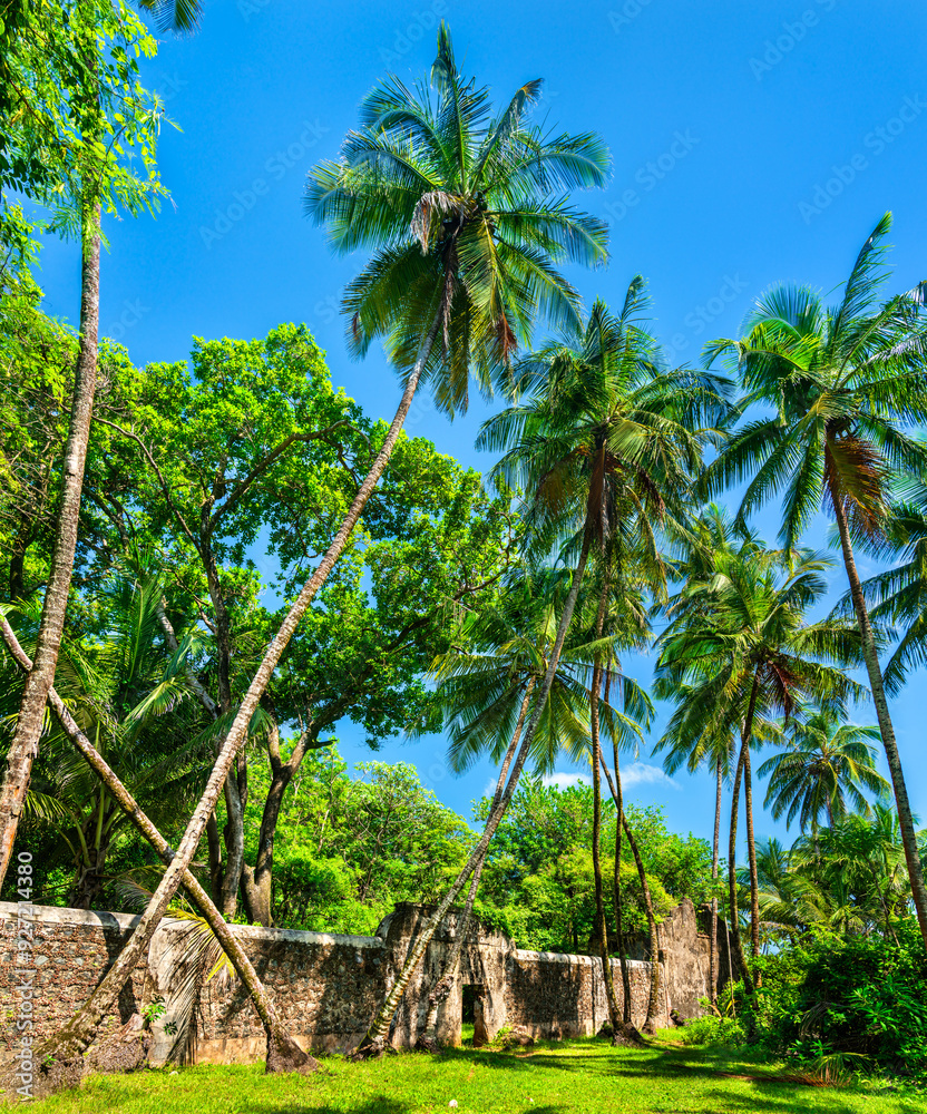 Naklejka premium Old ruins of notorious penal colony in Saint Joseph Island, Salvation Islands, French Guiana, South America