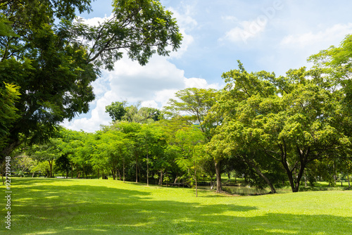 Scenic view of the park with green grass field in city and a cloudy blue sky background. Beautiful green park_7