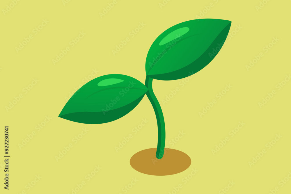 a green seed with details of leaves two leaves a green seed with details of leaves two leaves