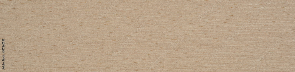 Fototapeta premium Warm beige and soft cream hues blend harmoniously in this birch veneer texture