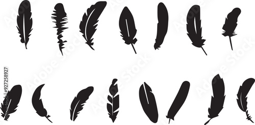 Bird Feather Minimalist Black Silhouette Vector Collection