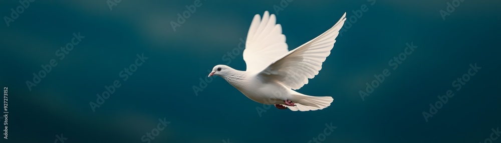 Obraz premium A graceful white dove glides through a boundless blue sky, symbolizing peace and freedom.