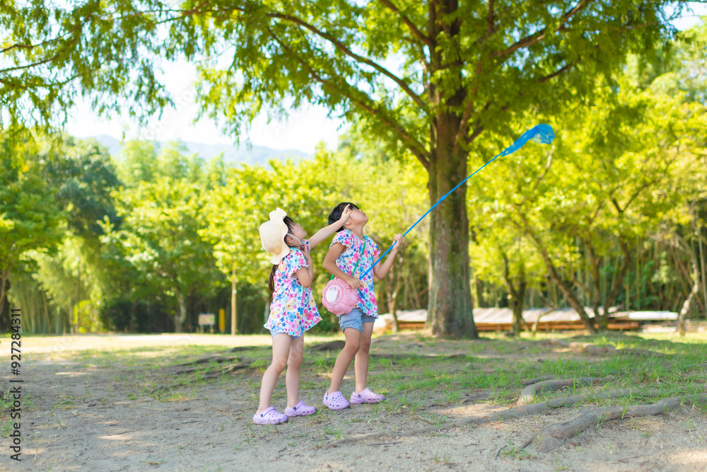 公園で虫とりをして遊ぶ女の子 公園で虫とりをして遊ぶ女の子