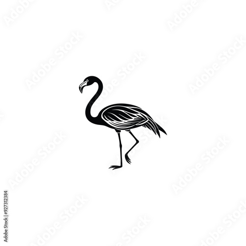 illustration of a flamingo