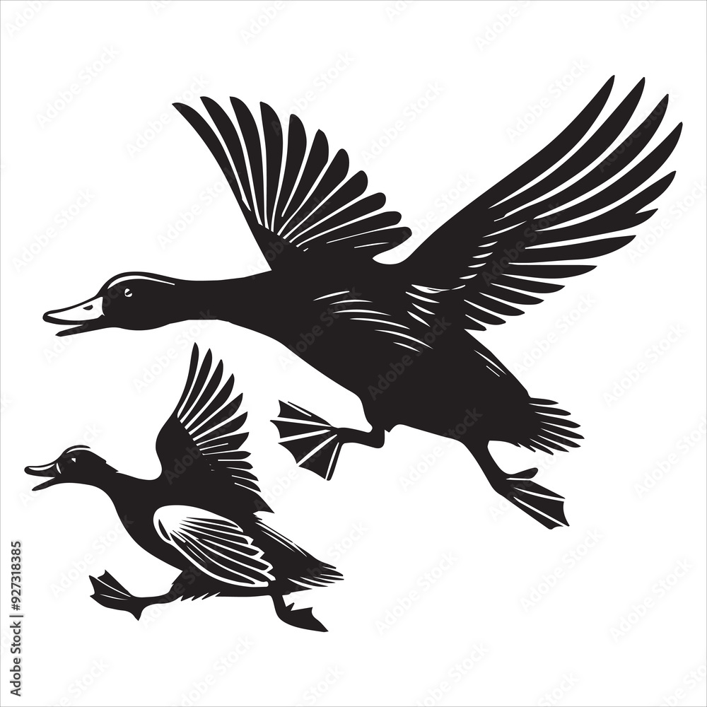 Obraz premium American Black Duck Silhouette, Black Duck Clipart, American Black Duck chasing another duck illustration in black and white