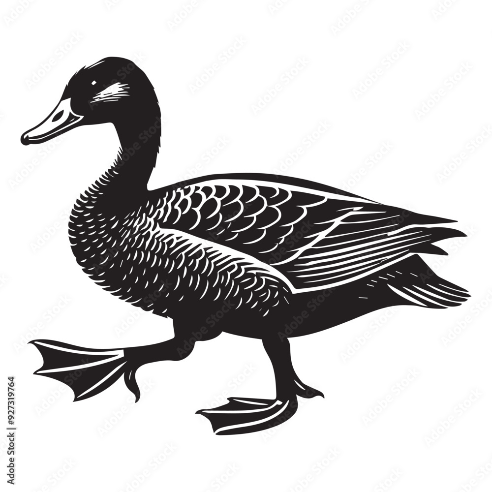 American Black Duck Silhouette, Black Duck Clipart, American Black Duck walking illustration in black and white American Black Duck Silhouette, Black Duck Clipart, American Black Duck walking illustration in black and white