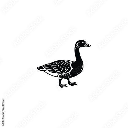 goose isolated on white background