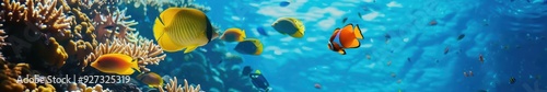 Orange fish and corals in a bright underwater environment, clear blue waters.