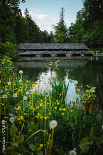 wooden bridge over the river