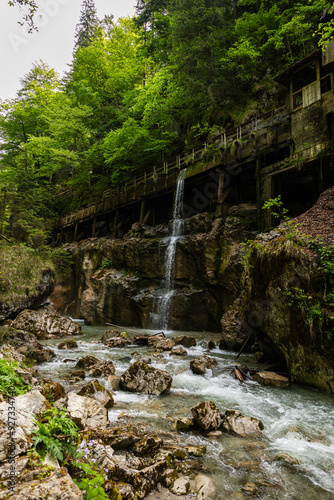 waterfall in the forest