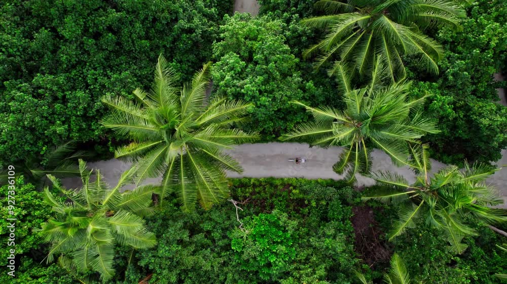 Girl riding a bicycle against the background of palm trees