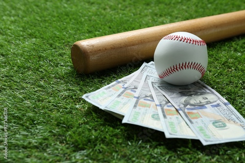 Baseball ball, bat and dollar banknotes on green grass outdoors photo