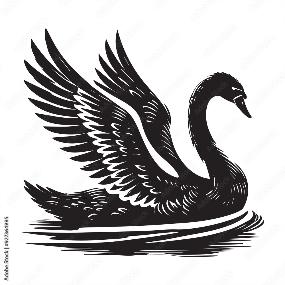 Fototapeta premium Mute Swan Silhouette, Cygnus olor Clipart, Mute swan On water slightly open wings illustration in black and white