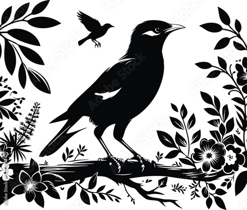 Myna silhouette Bird vector
