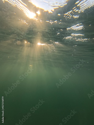 Submerged in Sunlight