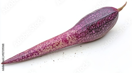 A detailed image of a rare Titan Arum (Amorphophallus titanum) seedling, isolated on a white background  photo